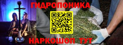 молекула духа Кандалакша